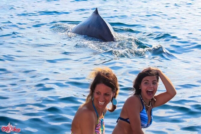 Mega Yacht All-Inclusive Private Boat Tour - Getting to the Tour