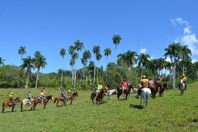 Mega Zip and Ride in Dominican Countryside - Ratings and Customer Reviews
