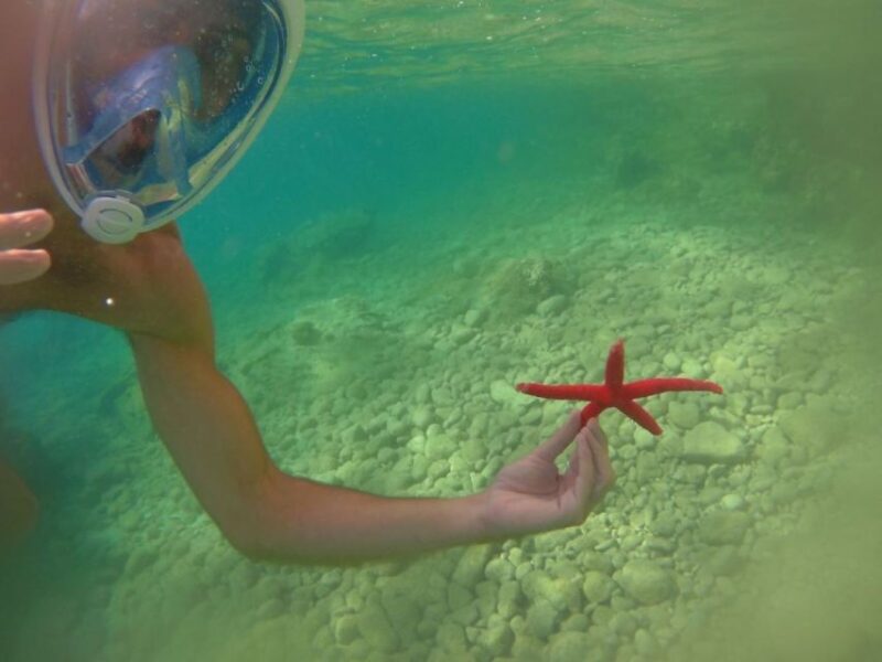Meganisi: Half-Day Guided SUP Tour to Nisída Thilía Island - Frequently Asked Questions