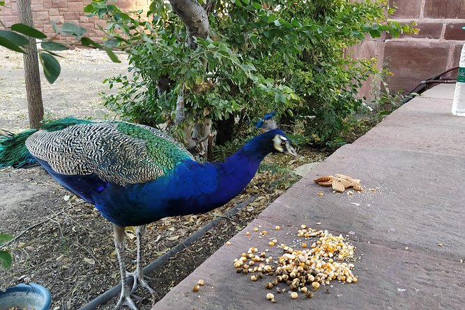 Mehrangarh Fort and Blue City Historic Tour With Local Guide - Tour Details