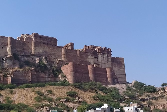 Mehrangarh Fort and Blue City Historic Tour With Local Guide - Reviews