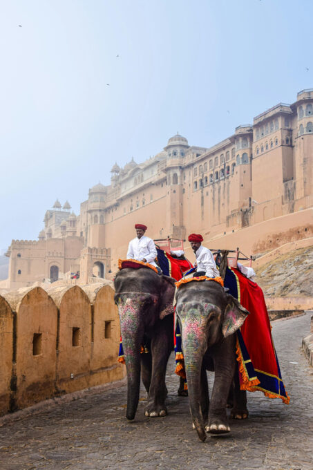 Mehrangarh Fort, Jaswant Thada Visit - Rao Jodha Desert Rock Park