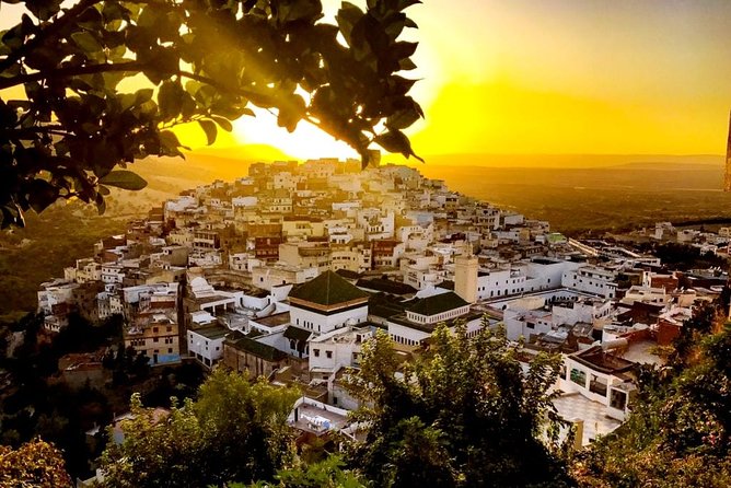 Meknes - Volubilis Day Trip - Traveler Reviews