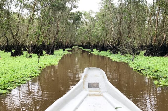 Mekong Adventure: 3 Days From Delta Optional to Phnompenh - Mekong Delta Boat Ride