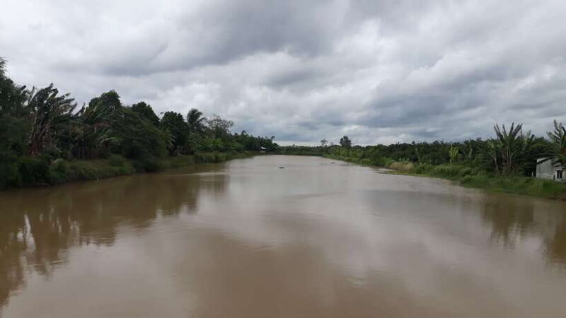 Mekong Day Tour by Car:Cai Be Market, Local Island & Cycling - Culinary Delights and Local Experiences