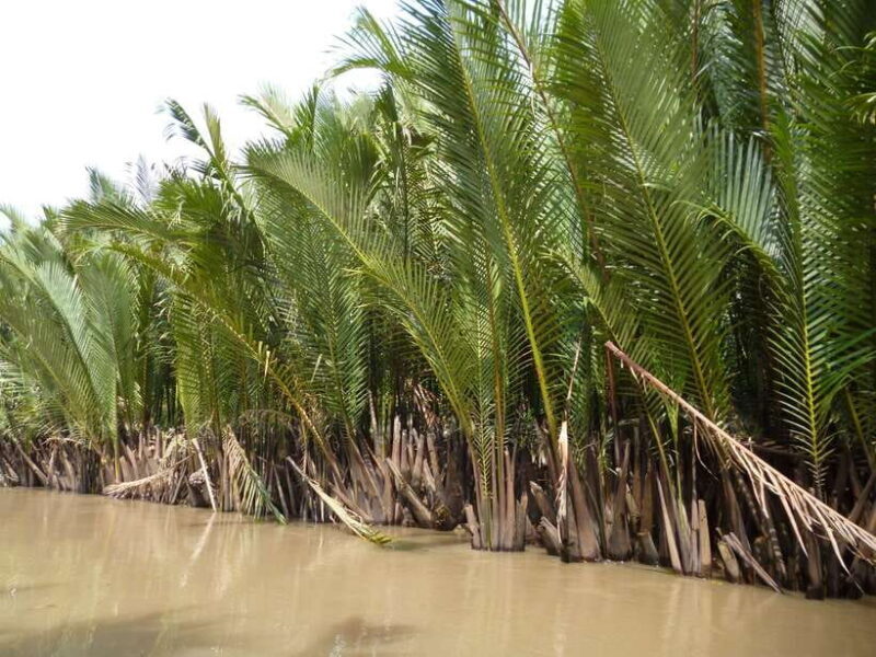 Mekong Day Tour by Car:Cai Be Market, Local Island & Cycling - Exploring the Local Village