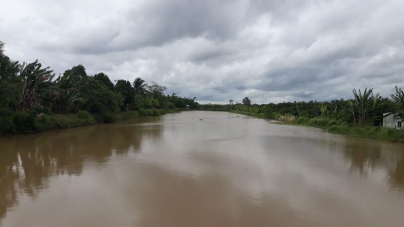 Mekong Day Tour by Car:Cai Be Market, Local Island & Cycling - Honey Bee Farm Experience