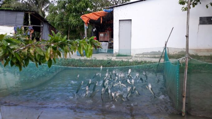 Mekong Day Tour by Car:Cai Be Market, Local Island & Cycling - Frequently Asked Questions