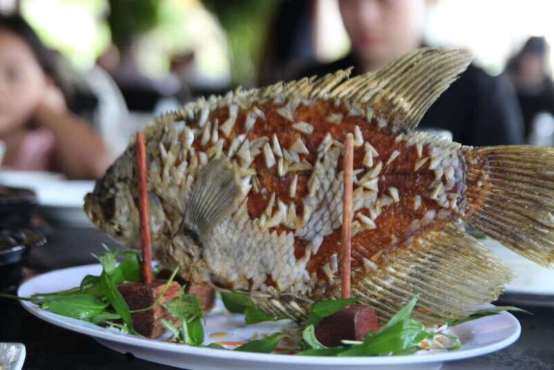 Mekong Delta 1 Day From Ho Chi Minh City - Honey Bee Farm and Python Farm