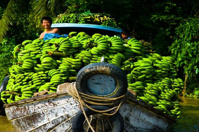 Mekong Delta 1 Day Tour - Itinerary and Activities
