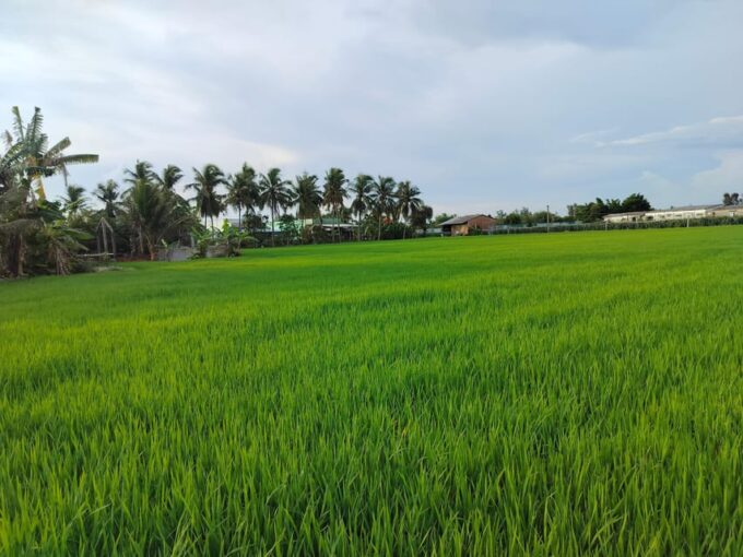 Mekong Delta 1day Cycling Cooking Classes Small Group 10PAX - Cancellation Policy