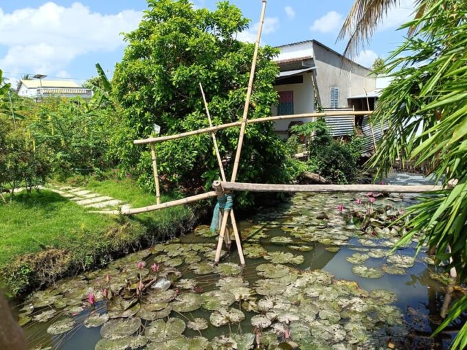 Mekong Delta 2 Days 1 Night (My Tho - Ben Tre - Can Tho) - Frequently Asked Questions