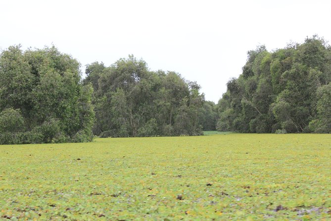 Mekong Delta 3 Day Tour From HCM City to Phu Quoc Island / Phnom Penh - Exploring Ben Tre