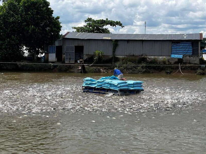 Mekong Delta 4-Day Tour: Ho Chi Minh-Chau Doc-Can Tho-Ca Mau - Attractions and Activities in Can Tho