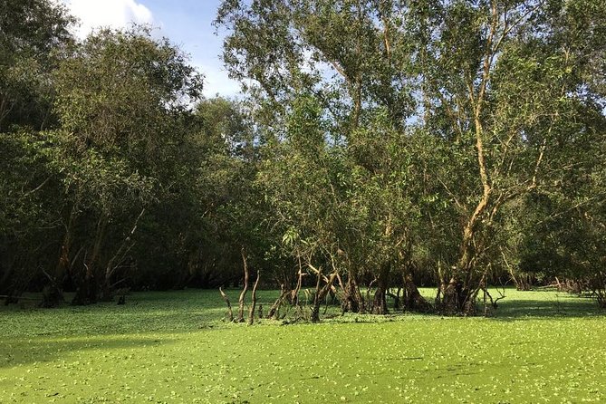 Mekong Delta 4 Days From HCM City to Phu Quoc Island / Phnom Penh - Guest Reviews