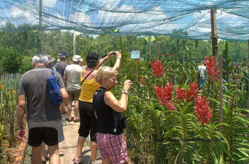 Mekong Delta Day Trip - Group Tour - Scenic and Cultural Experiences