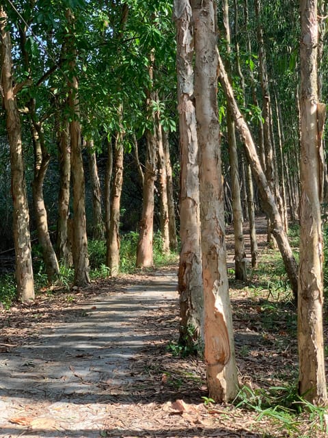 Mekong Delta: Experience the Hidden Gem of Local River Life - Climate and Weather