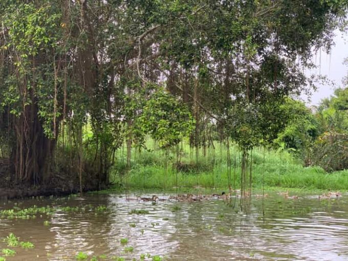 Mekong Delta: Experience the Hidden Gem of Local River Life - Sustainable Tourism Practices