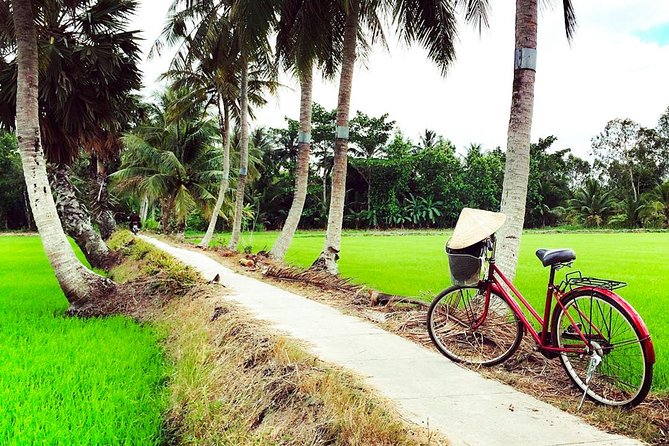 Mekong Delta Guided Tour From Ho Chi Minh City - Accessibility and Age Restrictions
