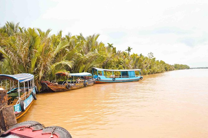 Mekong Delta One Day Tour - Accessibility and Recommendations