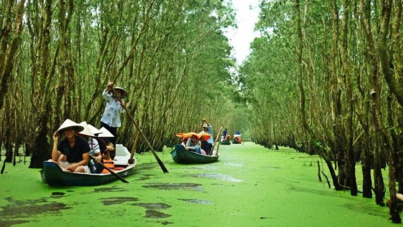 MeKong Delta Tour 1 Day - Afternoon Activities