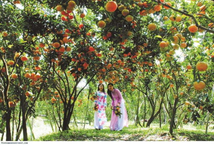 MEKONG DELTA TOUR TO CAI BE – TAN PHONG ISLAND FULL DAY - Cultural Experiences and Activities
