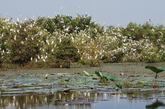 Mekong Delta Tours 3days - CaiBe Vinh Long ChauDoc CanTho - Itinerary Highlights