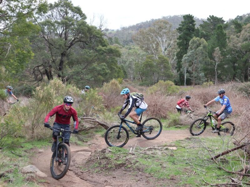 Melbourne: 1-Day Mountain Biking Adventure With Lunch - Duration and Group Size