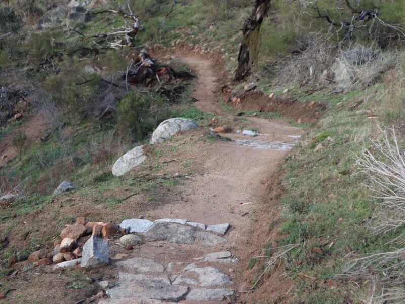 Melbourne: 1-Day Mountain Biking Adventure With Lunch - Included in the Tour