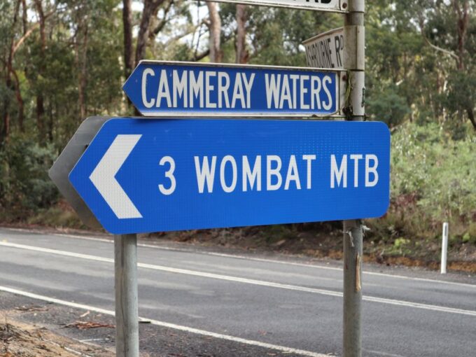 Melbourne: 1-Day Mountain Biking Adventure With Lunch - Not Included in the Tour