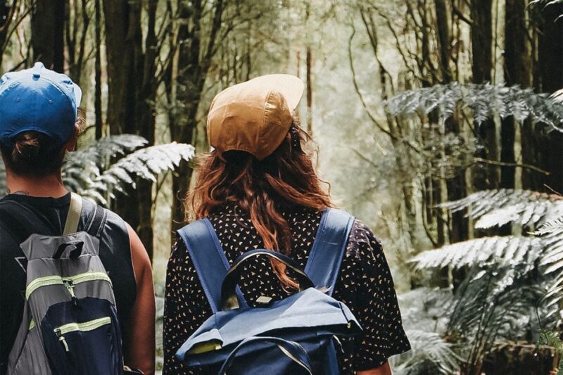 Melbourne: 12 Apostles, Great Otways and Great Ocean Road - Inclusions