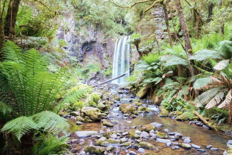 Melbourne: 12 Apostles, Great Otways and Great Ocean Road - Pricing and Availability