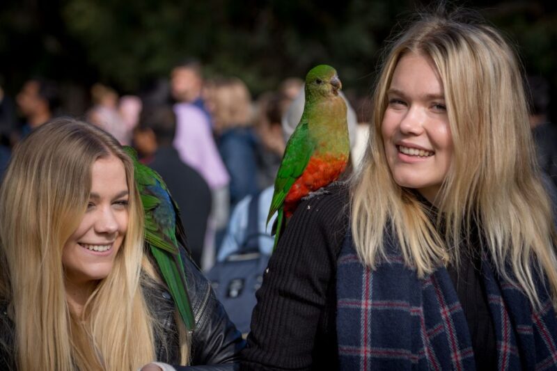 Melbourne: 2-Day Great Ocean Road & Grampians Tour - Suitability and Requirements