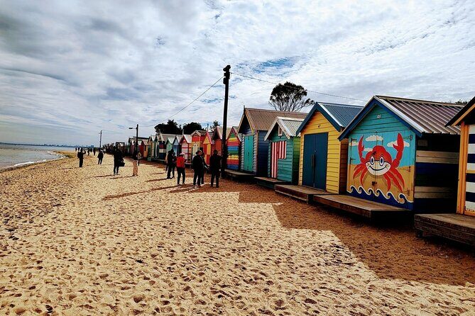 Melbourne and Moonlit Sanctuary Shore Excursion - Key Points