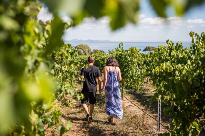 Melbourne: Around the Bay Food & Wine Taste Trail - Key Points