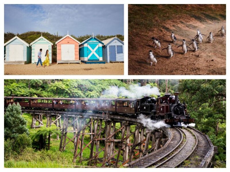 Melbourne: Brighton Boxes, Puffing Billy, and Penguin Parade - Exploring the Puffing Billy Railway