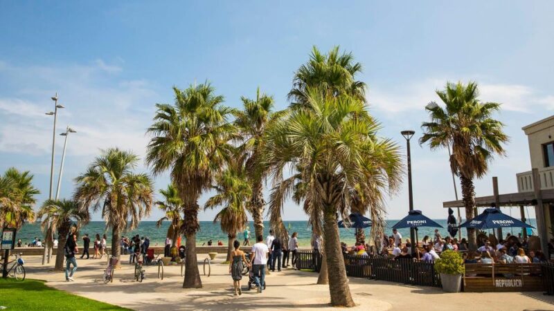 Melbourne: City Highlights, Suburbs & Laneways Bus Tour - Key Locations Visited