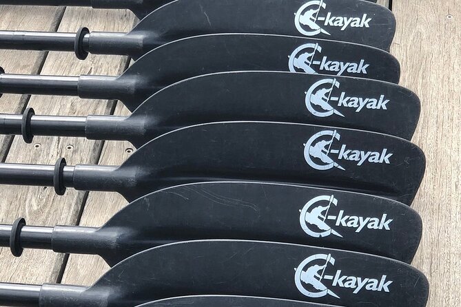 Melbourne City Sights Kayak Tour - Iconic Sights Along the Yarra River