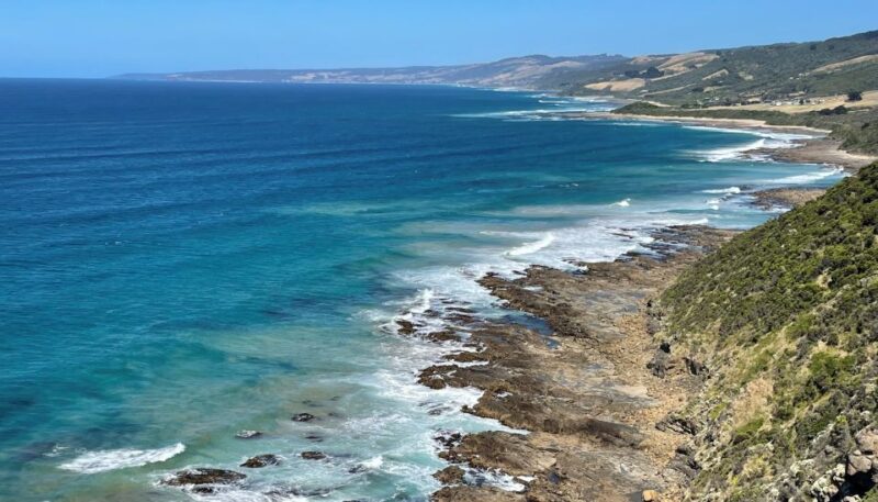 Melbourne: Great Ocean Road Day Trip With Rainforest Visit - Transportation and Amenities