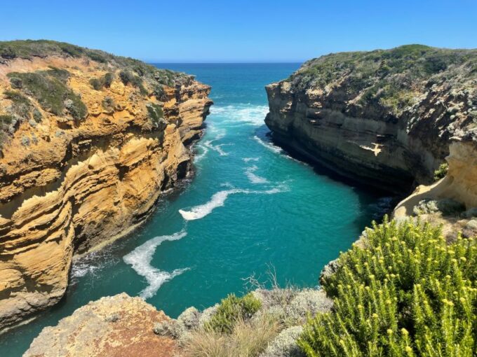 Melbourne: Great Ocean Road Day Trip With Rainforest Visit - Customer Ratings