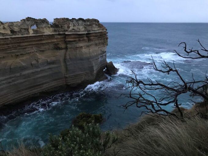 Melbourne: Great Ocean Road Day Trip With Rainforest Visit - Booking and Availability