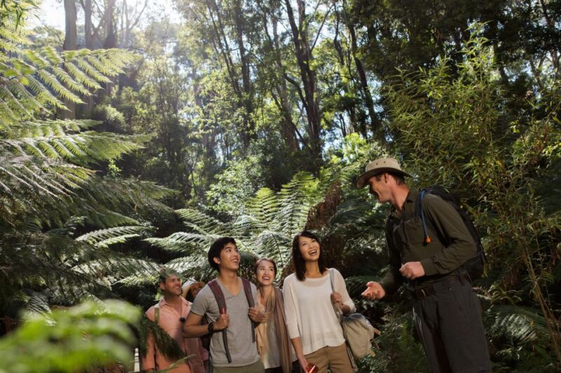 Melbourne: Great Ocean Road Sightseeing Day Tour - Meeting Points