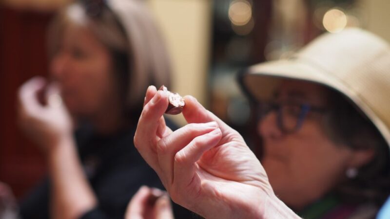 Melbourne: Guided Chocolate Walking Tour of the City - Experience Highlights