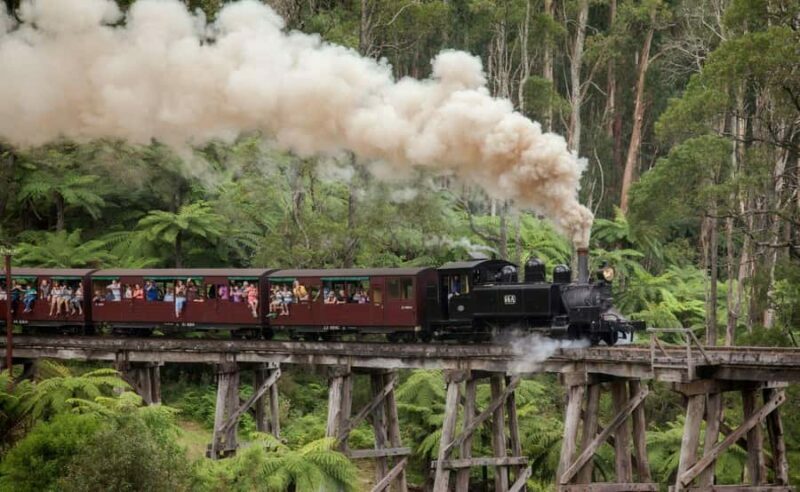 Melbourne: Half-Day Puffing Billy Steam Train Experience - Returning to Melbourne and Other Tour Options