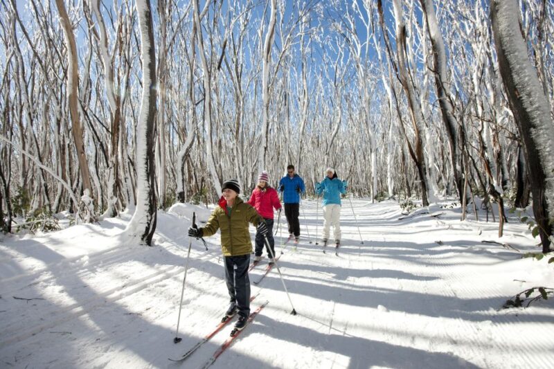 Melbourne: Lake Mountain Snow Guided Tour - Snow Experience