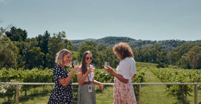 Melbourne: Mornington Peninsula Hop-On-Hop-Off Bus - Transportation and Amenities