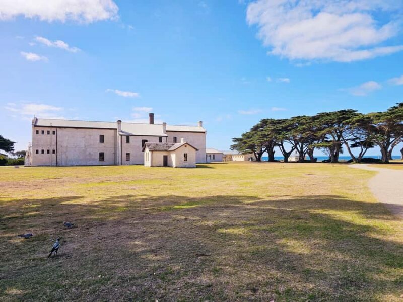 Melbourne: Mornington Peninsula Southern Coast Discovery - Exploring the Mornington Peninsula: What to Expect