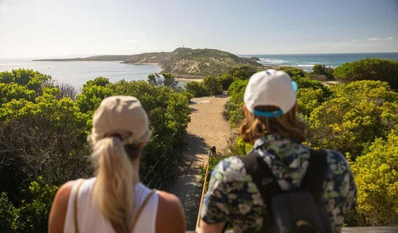 Melbourne: Mornington Peninsula Southern Coast Discovery - Practical Details and Value