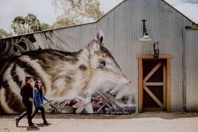 Melbourne: Penguin Parade & Churchill Island Farm Tour - Nobbies Lookout