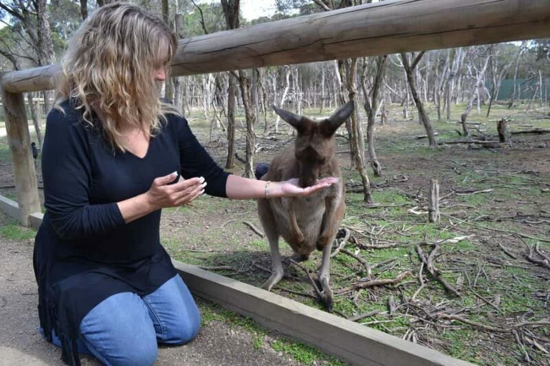 Melbourne: Peninsula Nature Private Day Trip with Dinner - An In-Depth Look at the Peninsula Nature Day Trip
